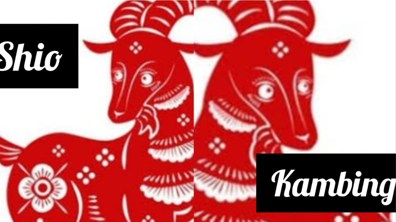 Shio Kambing Tahun Naga Kayu Setelah Imlek 2024,  Percintaan Oke Rezeki Fluktuasi 