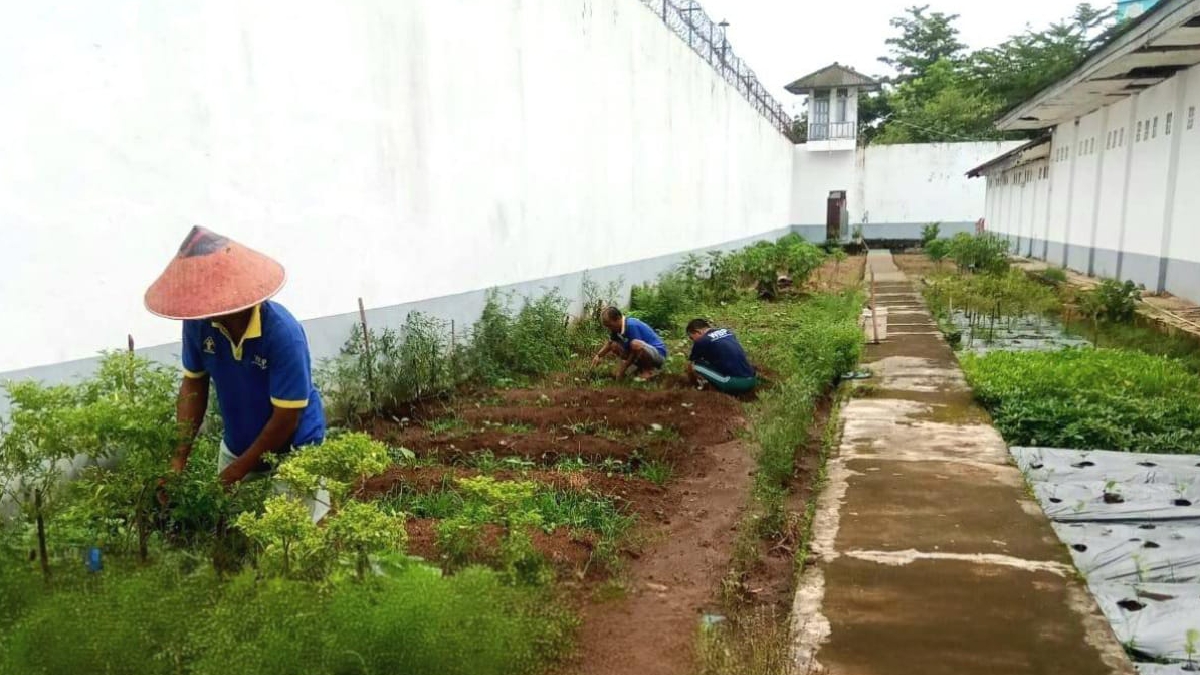 Lapas Narkotika Muara Beliti Tingkatkan Kemandirian Warga Binaan Melalui Pengembangan Keterampilan Pertanian