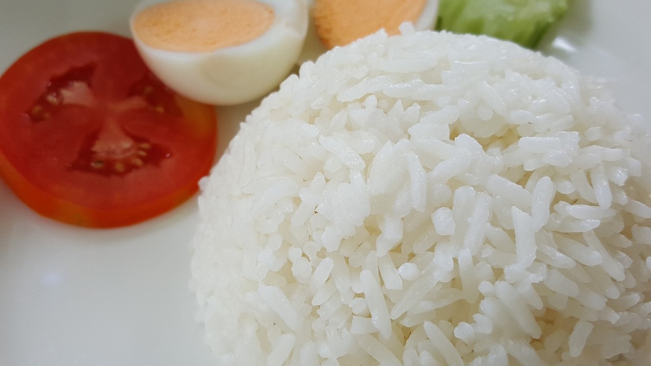  Cek Fakta: Nasi Dingin dan Nasi Panas, Mana yang Lebih Aman Dikonsumsi, Begini Penjelasan Dokter