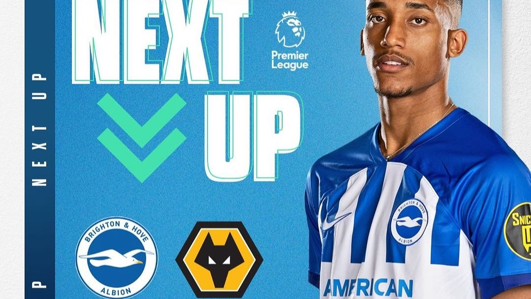 Prediksi Brighton vs Wolves, Premier League, Selasa 23 Januari 2024, Kick Off 02.45 WIB