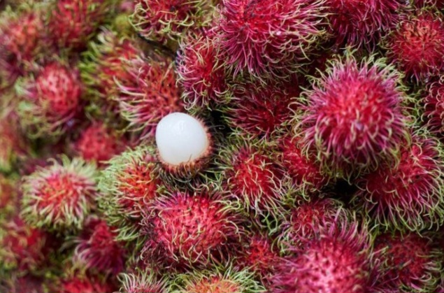 Ketahui, Ini Kandungan Gizi dan 13 Manfaat Buah Rambutan untuk Kesehatan