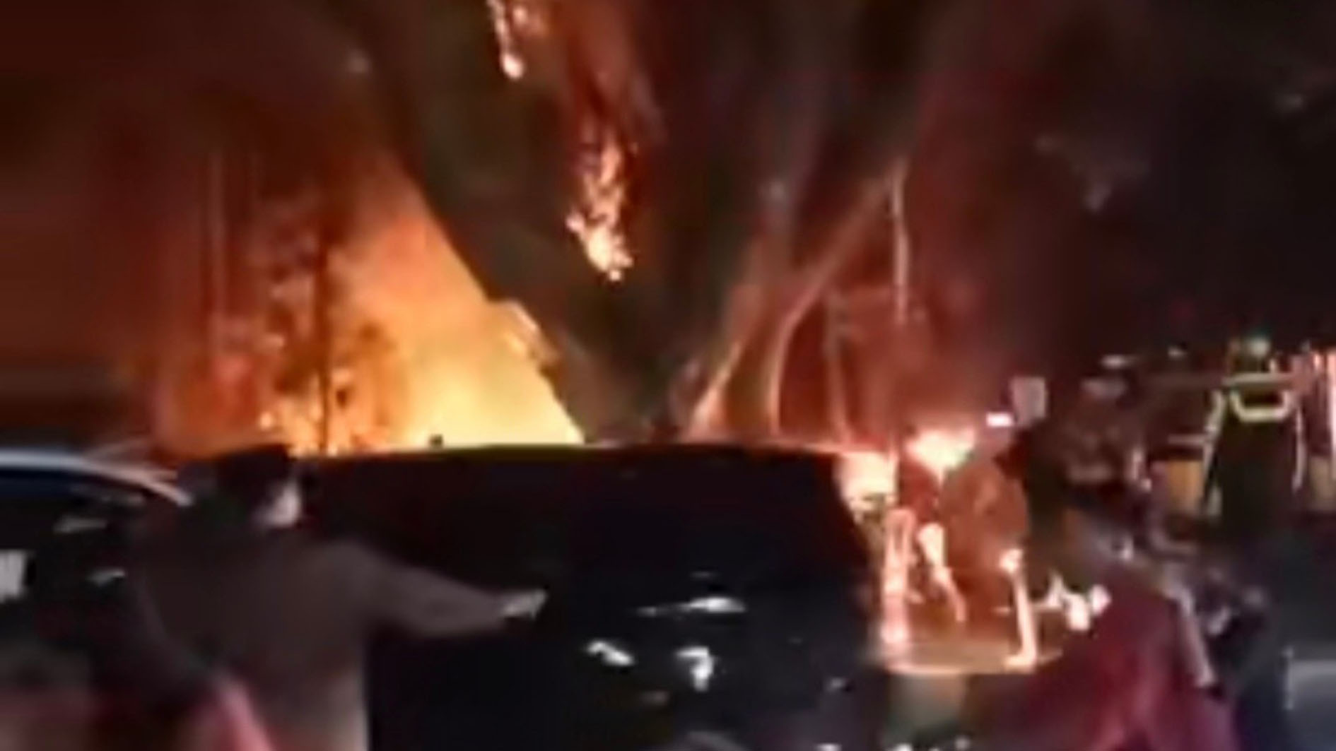 Viral! Pohon Jebluk Icon Kota Parung Terbakar, Netizen: Awas Setannya Ngamuk!