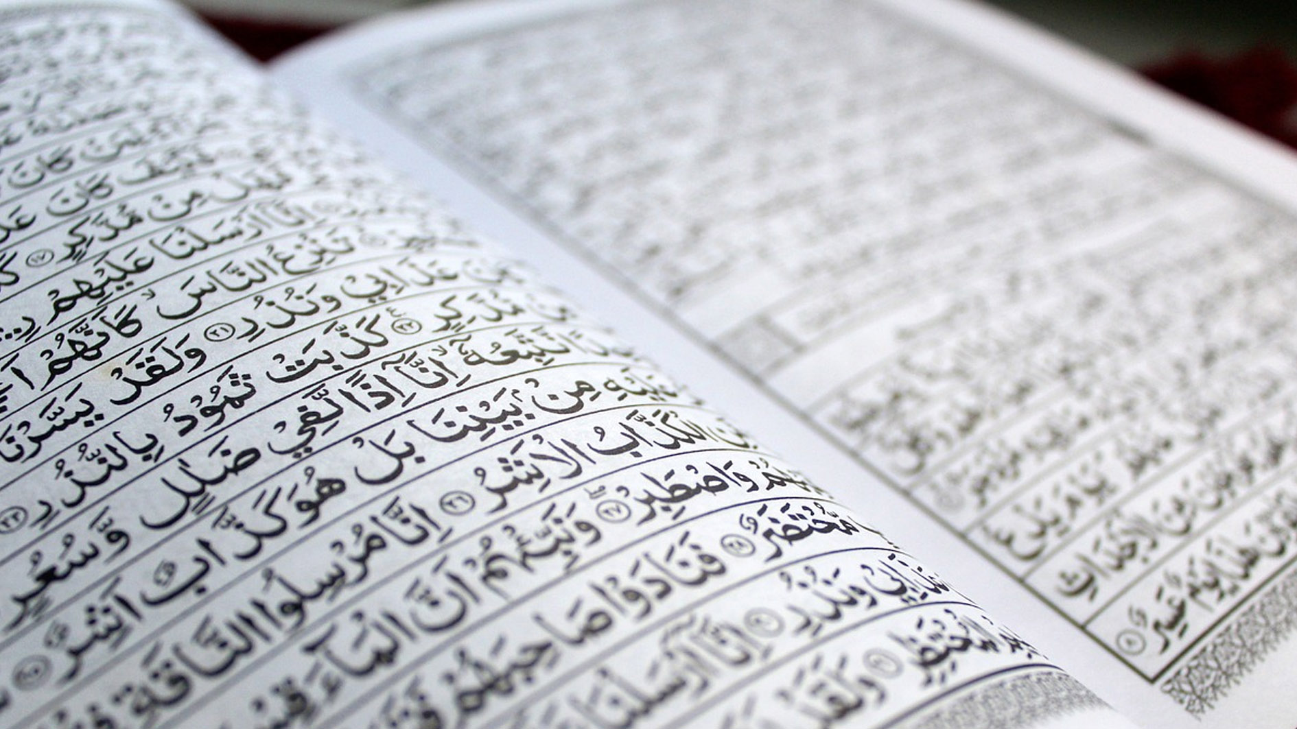 MUI Kecam Pembakaran Al Quran di Swedia Saat Umat Islam Sedunia Rayakan Idul Adha