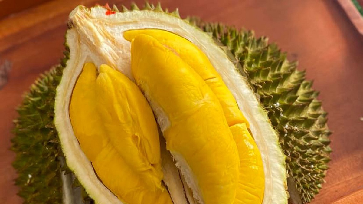 Perhatikan! Ini Batas Aman Mengonsumsi Durian Menurut Ahli Gizi, Cek Juga 4 Manfaatnya Bagi Tubuh