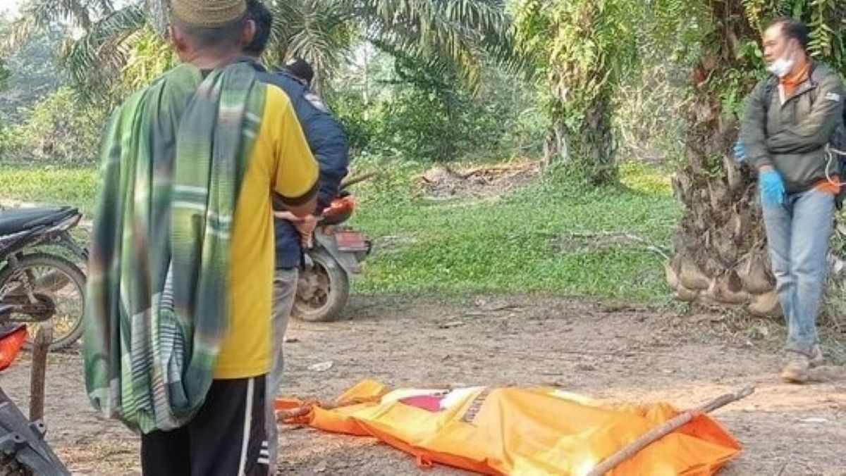 Geger, Wanita di Batanghari Jambi Ditemukan Terkubur di Kebun Sawit, Diduga Ulah Suami