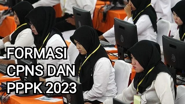 Peluang Lolos Lebih Besar, ini 14 Formasi CPNS dan PPPK yang Sepi Peminat