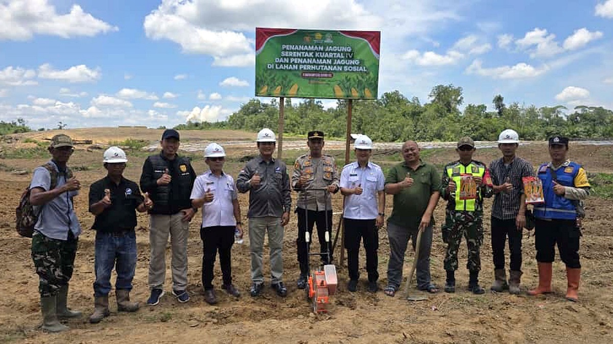 Dukung Ketahanan Pangan, PT Sumatera Sawit Lestari Bersama Polres Muratara Gelar Penanaman Jagung Kuartal IV