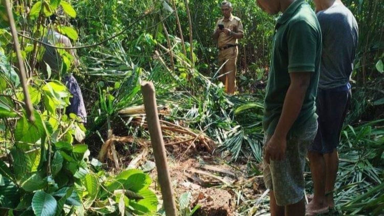 Gajah Liar Muncul di Nibung Muratara, Warga Takut ke Kebun