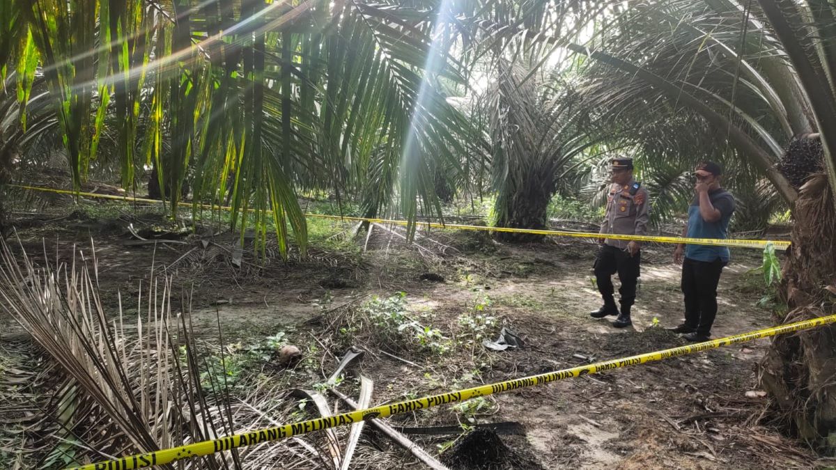 Seram, Petani Sawit di Musi Banyuasin Temukan Kerangka Manusia Saat Mau Panen