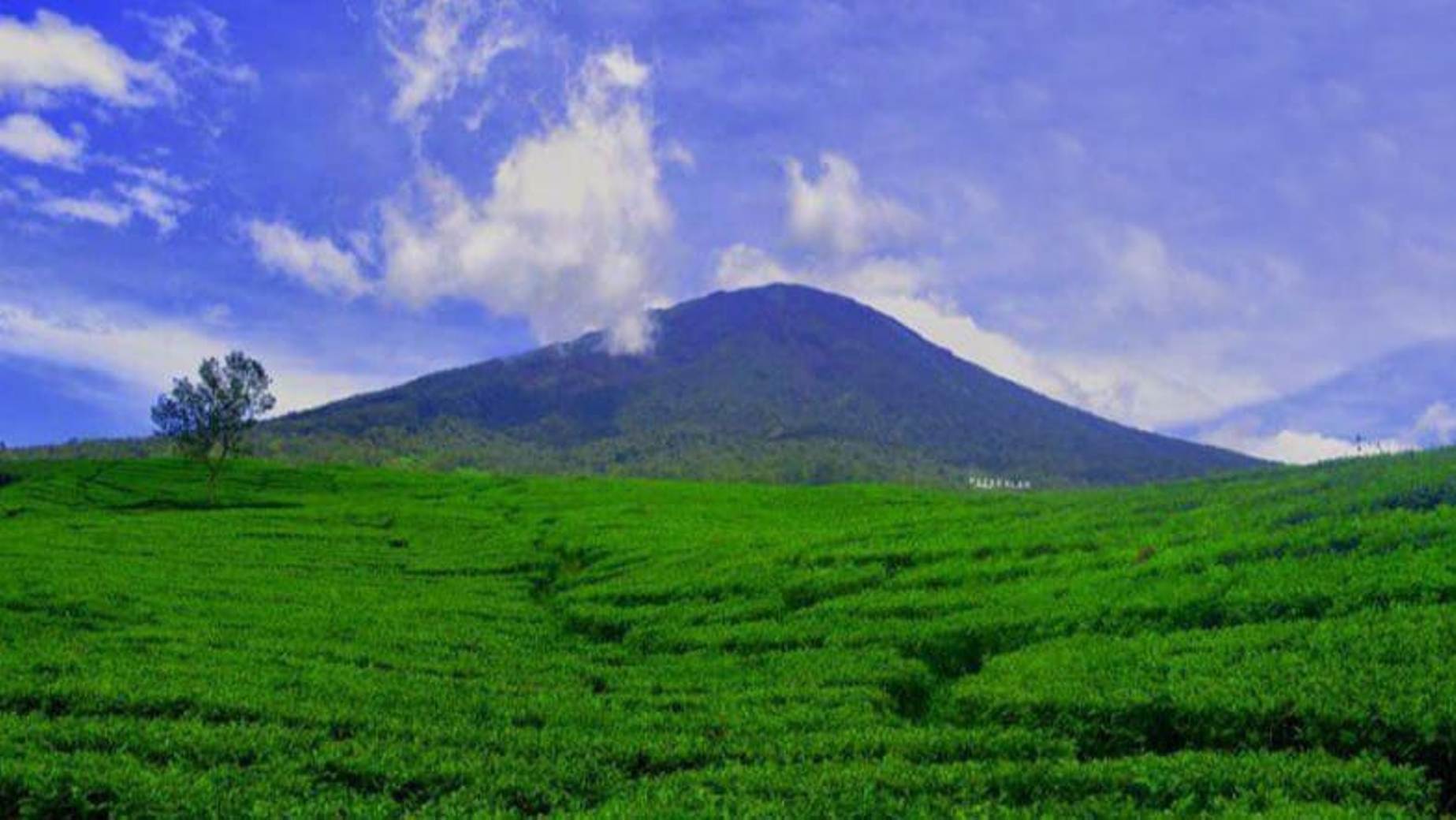 Objek Wisata di Pagaralam Tetap Buka