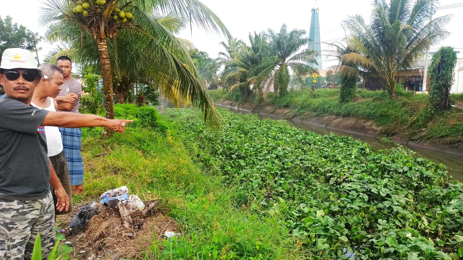 Saluran Irigasi Dipenuhi Enceng Gondok