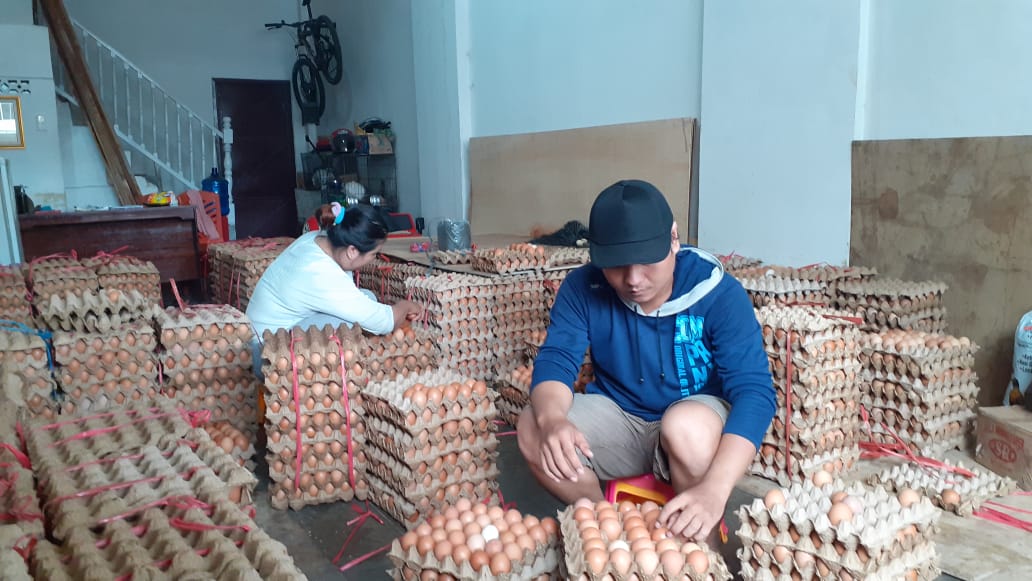 Telur Ayam di Lubuklinggau Meroket, Tembus Rp50 Ribu