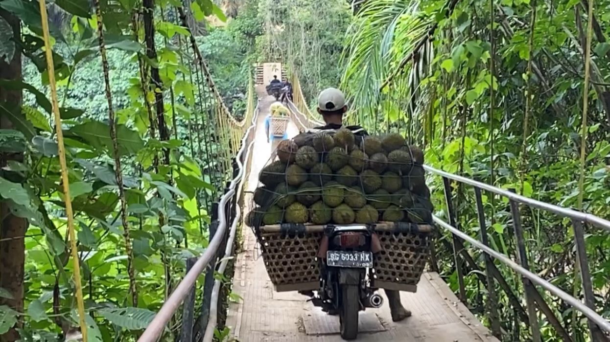 Rezeki Ojek Durian di Lubuk Linggau, Sehari Bisa Dapat Ratusan Ribu Rupiah
