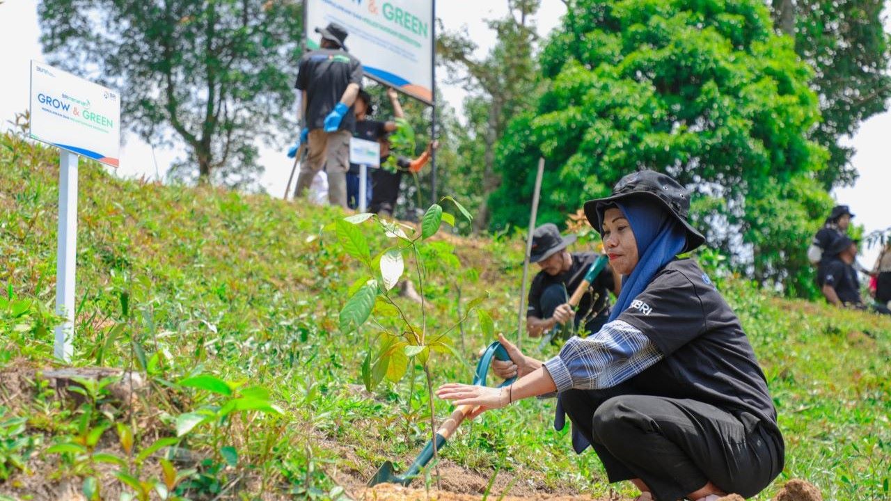 Pulihkan Hutan Bekas Tambang, Aksi Nyata Kelompok Tani Selamatkan Lingkungan Bersama BRI Menanam-Grow & Green