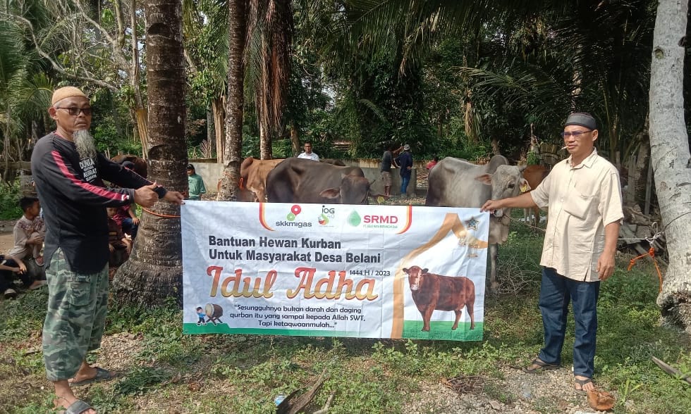 Idul Adha 1444 H SKK Migas - KKKS SRMD Kurban 2 Sapi dan 19 Kambing di Area Operasional Block Station 