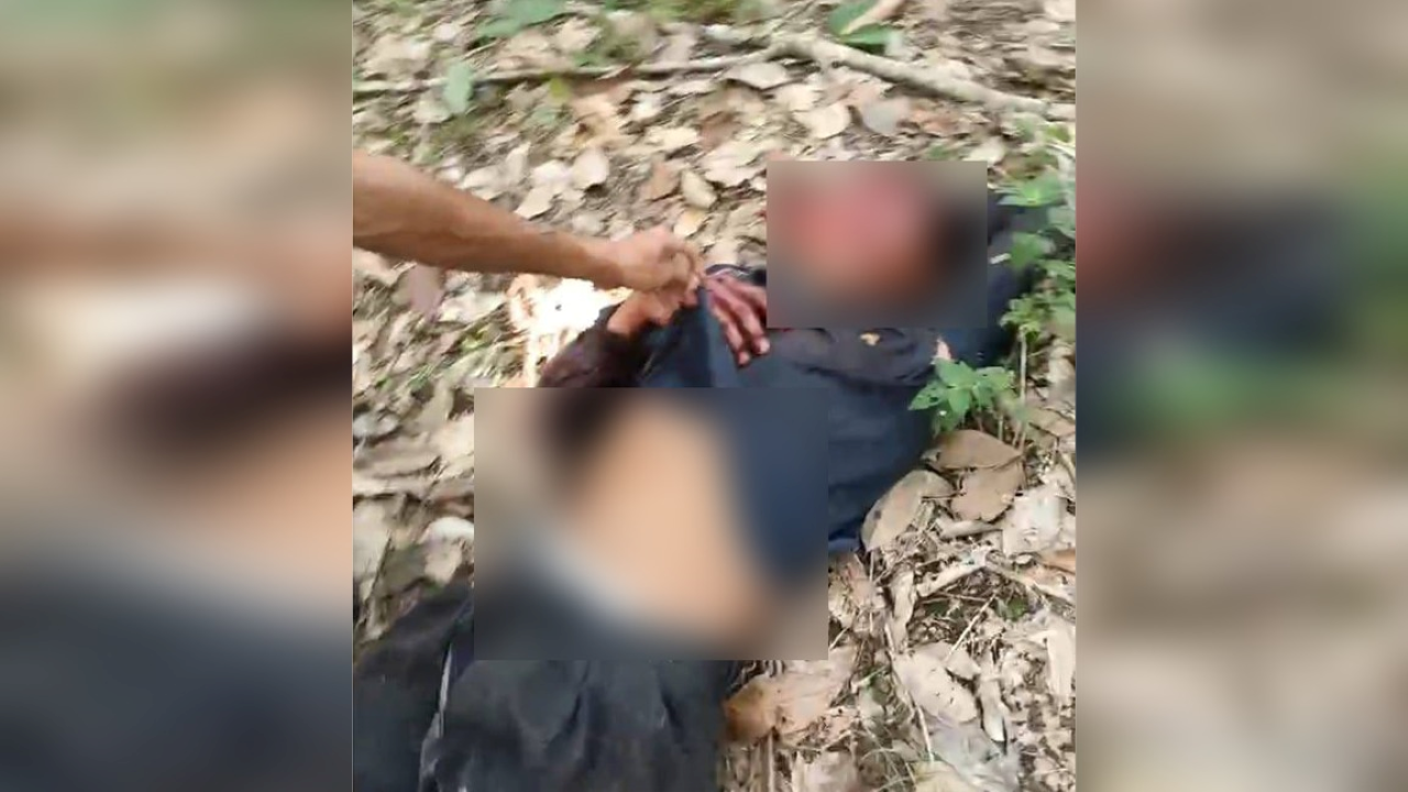 BREAKING NEWS: Warga Musi Rawas Diterkam Beruang Saat Menyadap Karet