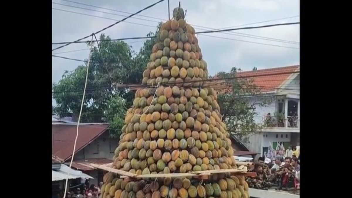 Heboh Festival Durian di Kronto Pasuruan Sebanyak 2.024 Duren Disusun jadi Gunungan