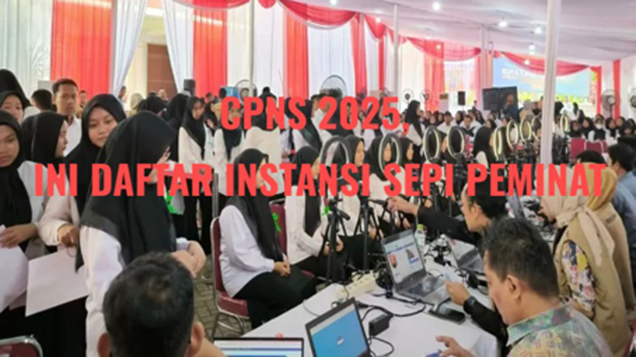 CPNS 2025, Ini Instansi Pusat dan Daerah yang Sepi Peminat Pada Seleksi Sebelumnya, Cek Sekarang