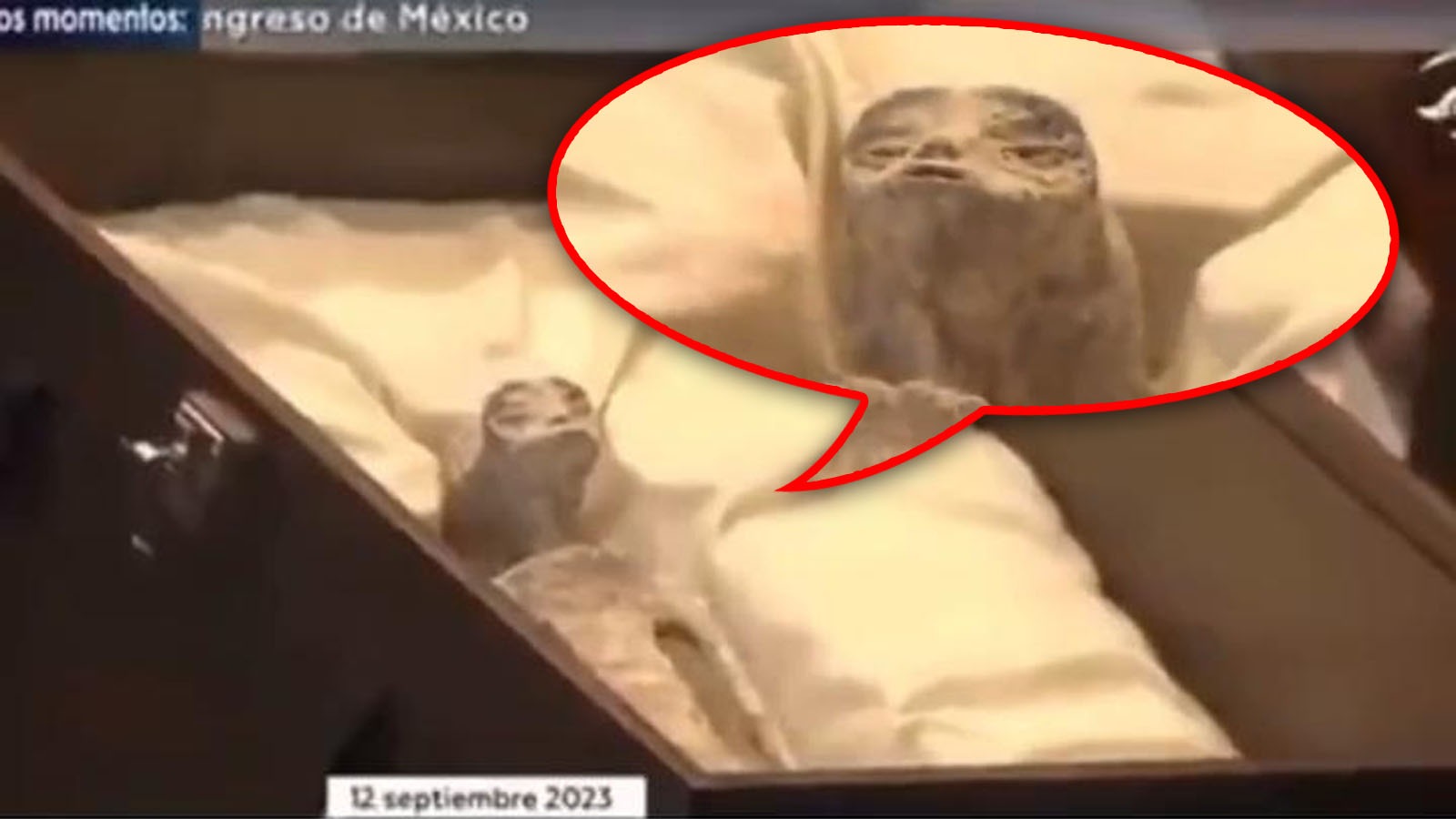 Gempar! 2 Mayat Alien Usia 1.000 Tahun dipamerkan di Kongres Meksiko