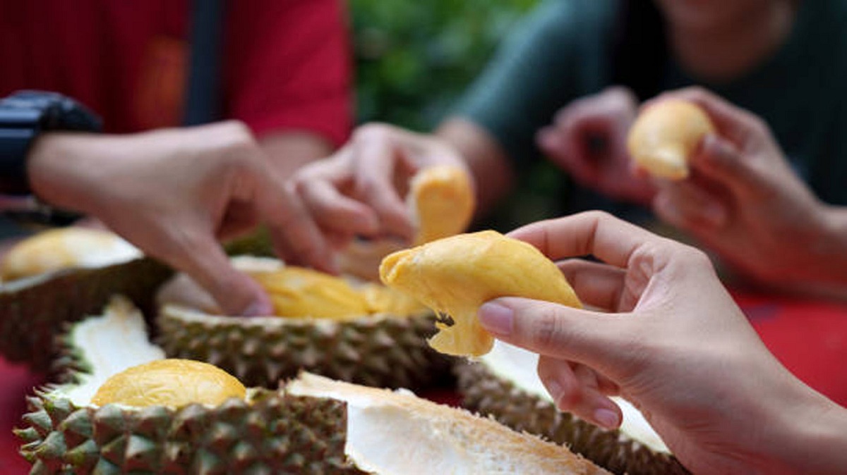 Inilah 4 Ciri Khas dan 7 Manfaat Buah Durian untuk Kesehatan