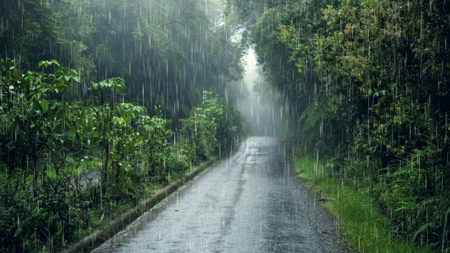 Prakiraan Cuaca Wilayah Sumatera Selatan Senin 9 Oktober 2023, Potensi Hujan di Beberap Daerah