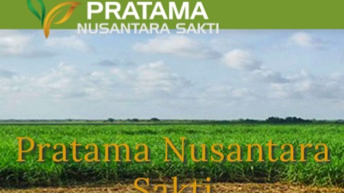 Info Lowongan di PT Pratama Nusantara Sakti, Penempatan Wilayah Kerja OKI