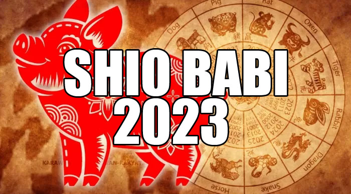 Shio Babi 2023: Akan Dipenuhi Keberuntungan dan Kebahagiaan