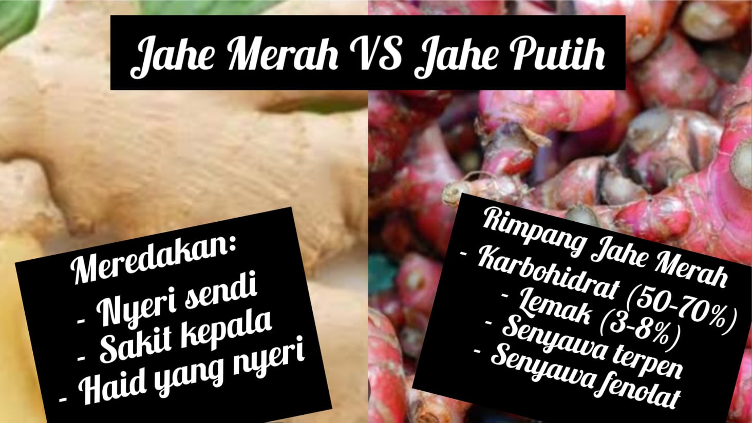 Jahe Merah vs Jahe Putih, Lebih Baik Mana untuk Kesehatan Tubuh