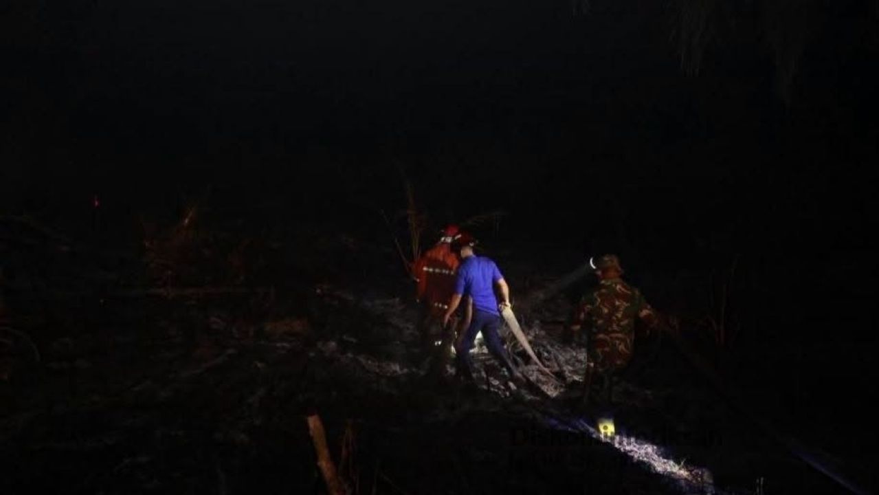 Sepanjang 2026, Sudah 24 Kali Terjadi Kebakaran Lahan di Lubuk Linggau, Warga Dihimbau Jangan Sampai Memicu