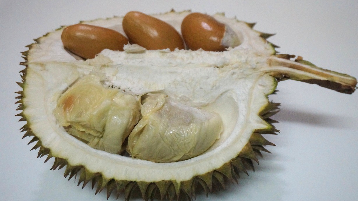 11 Manfaat Mengkonsumsi Biji Durian untuk Kesehatan yang Jarang Diketahui, Jangan Dibuang!