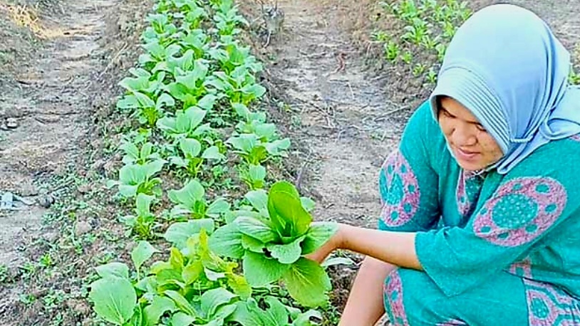 Cukup Bekerja di Rumah, Ibu-ibu Bisa Dapat Rp 1, 5 Juta, Begini Caranya 