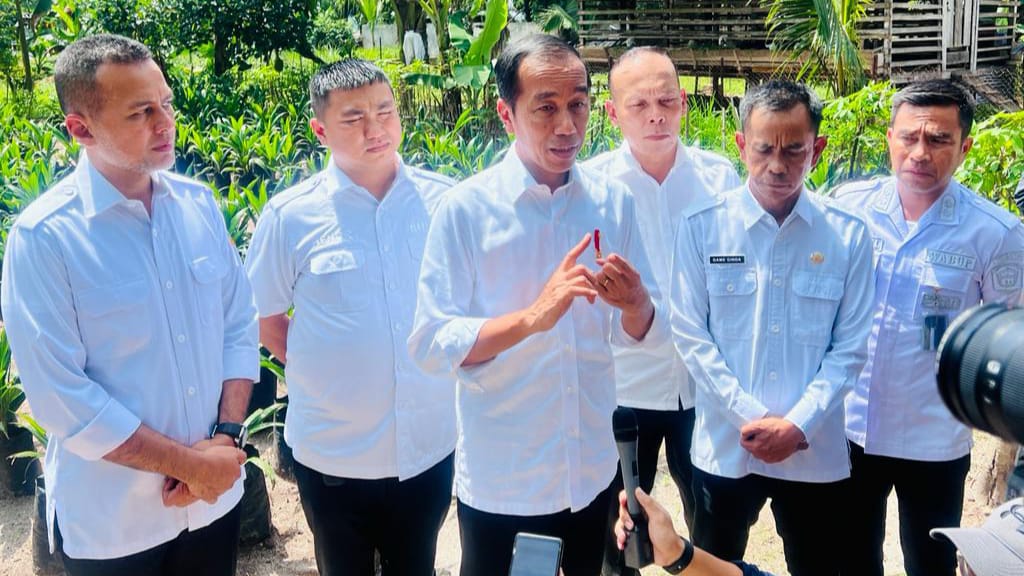 Setelah Viral, Presiden Jokowi Kunjungi Sumut: Jangan Sampai Jalur Logistik dan Jalan Produksi Rusak Parah