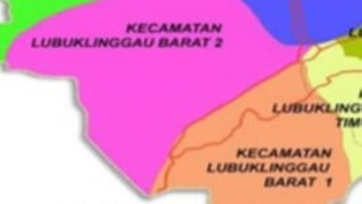 Daftar Calon Tetap DPRD Dapil 1 Kota Lubuk Linggau, Siapa yang Kamu Pilih