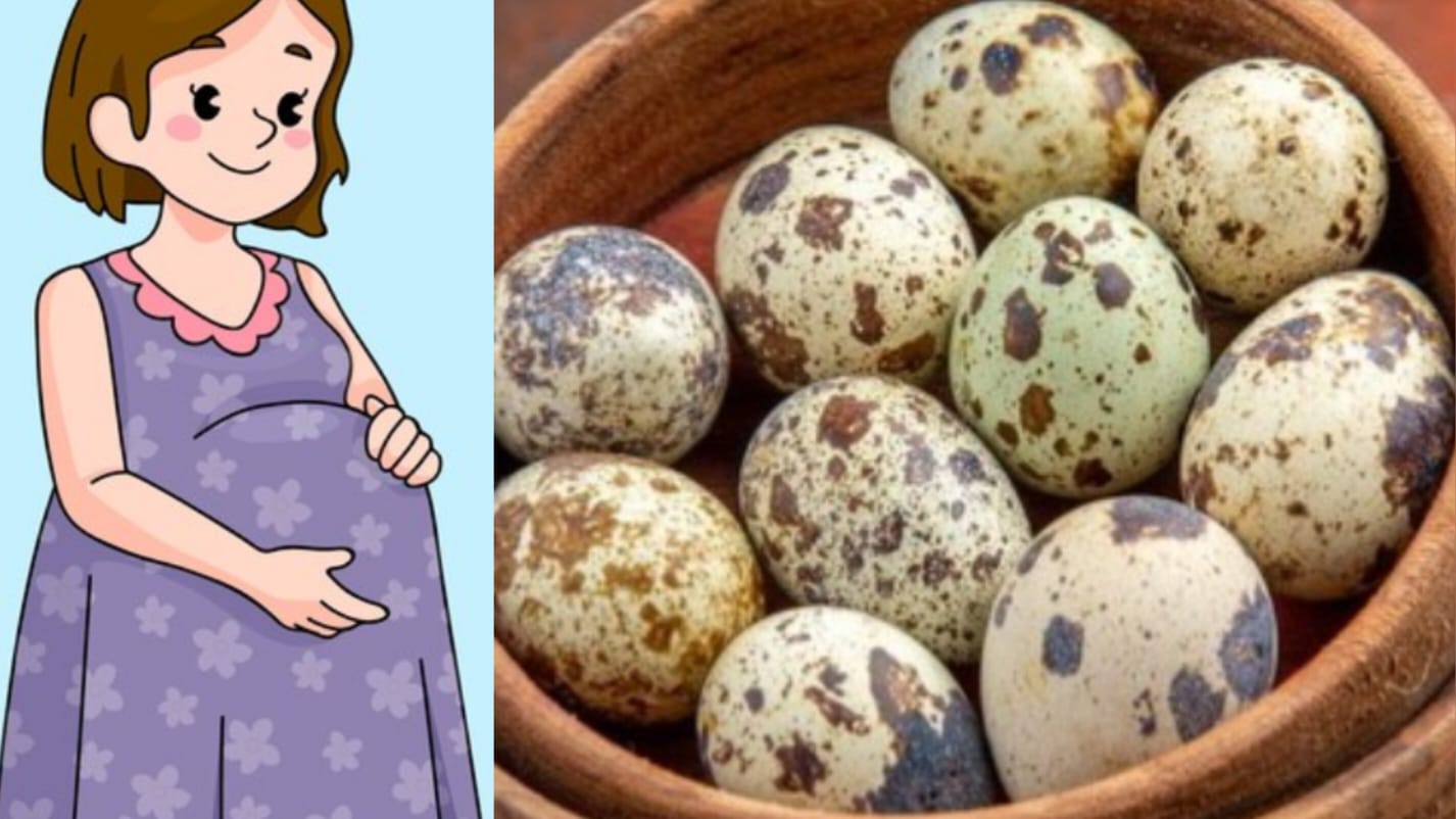 Apa Manfaat Ibu Hamil Konsumsi Telur Puyuh, 10 Fakta Berikut Ini Jawabannya, Nomor 1 Paling Penting 