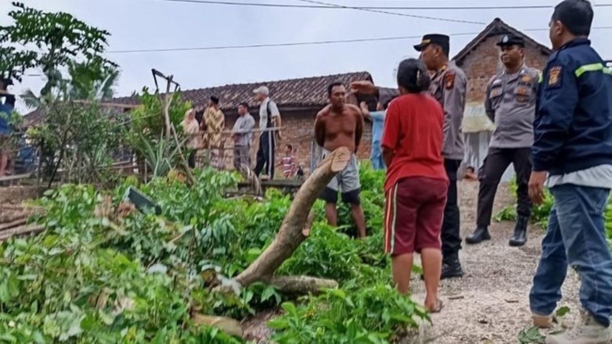 Tragis, Niat Mau Potong Pohon Jengkol, Pria di OKU Tewas Kesetrum, Begini Kronologinya