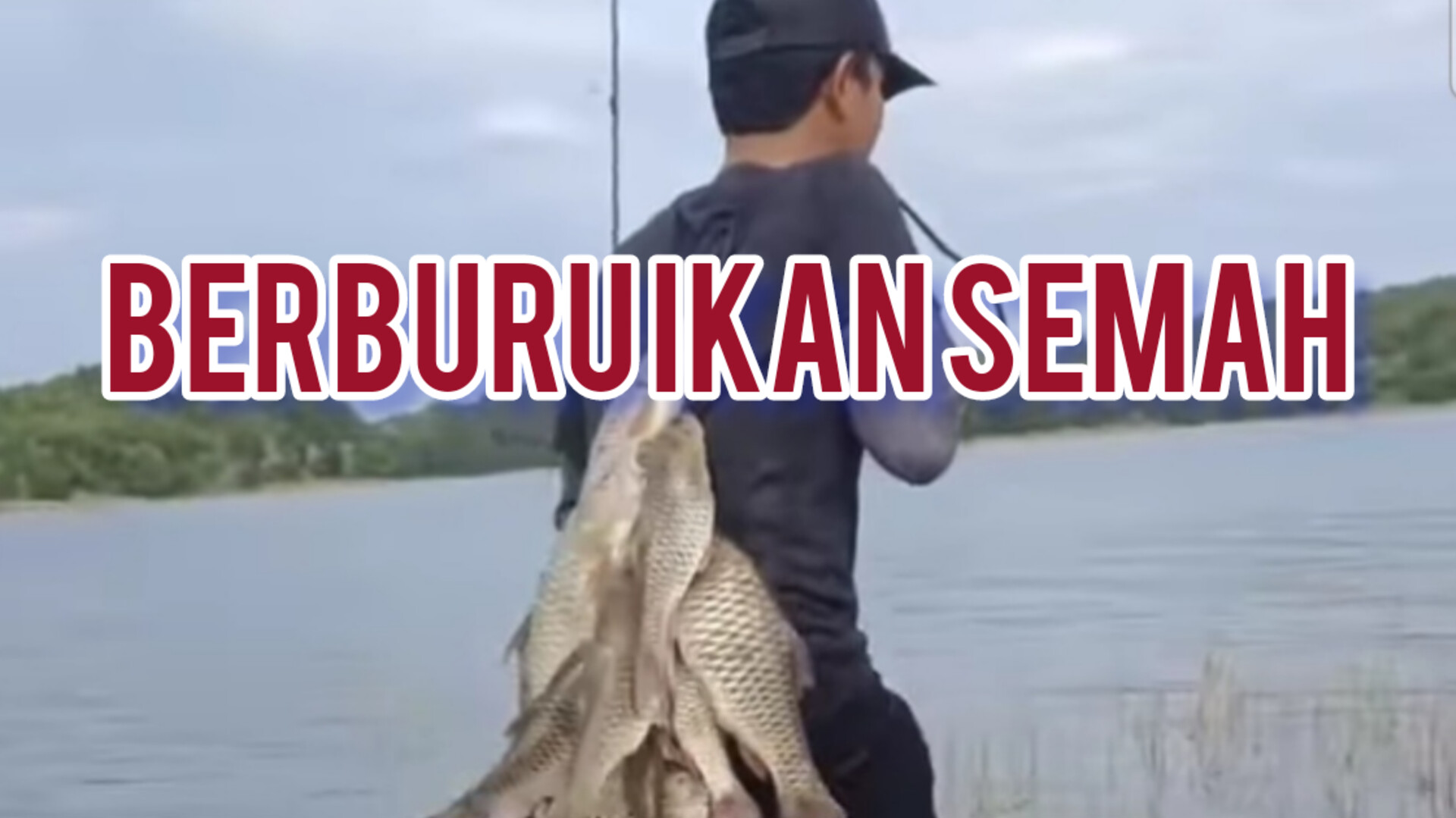 Ikan Semah Dianggap Keramat, Banyak Diburu Mancing Mania, Berikut Faktanya 