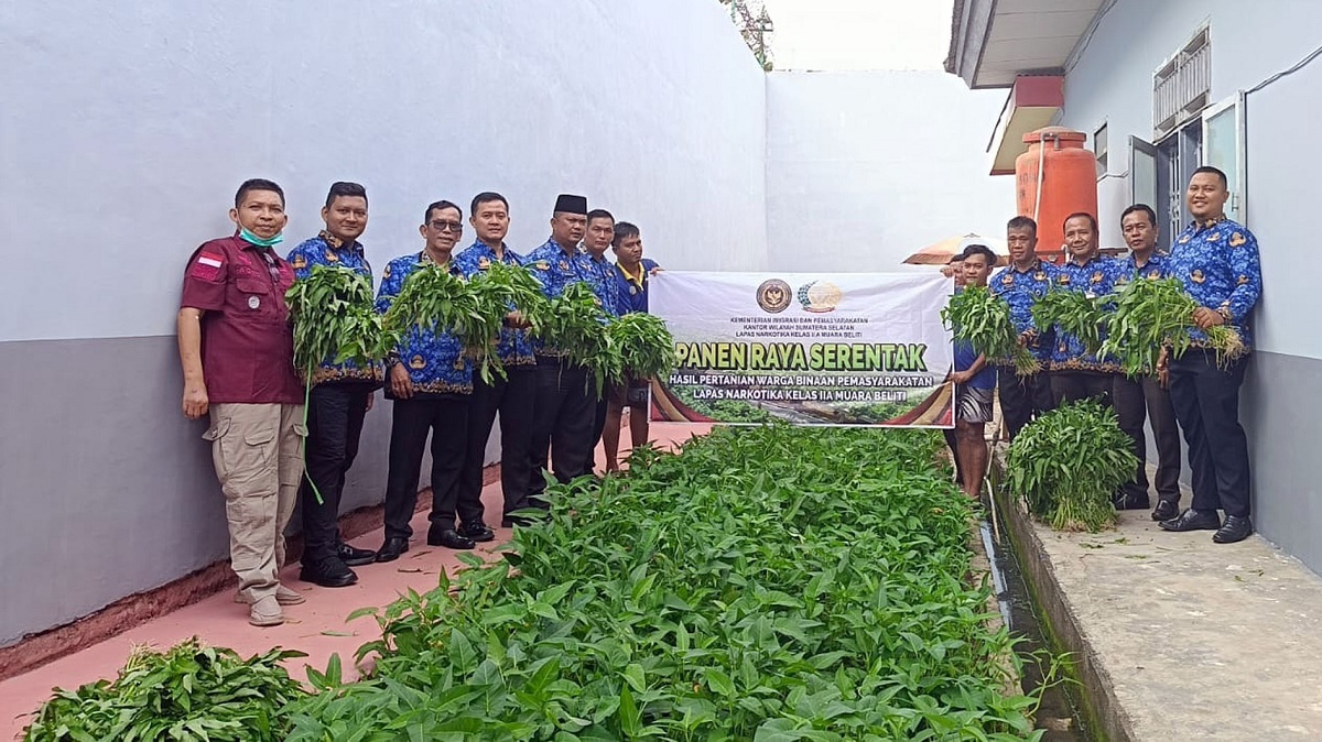 Bukti Nyata Program Ketahanan Pangan Berhasil, Lapas Narkotika Muara Beliti Laksanakan Panen Raya Serentak