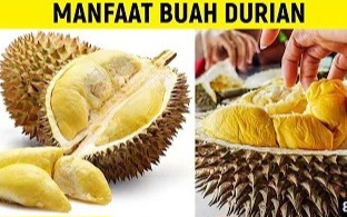 Ketahui Ini 14 Manfaat Durian untuk Kesehatan, Cek di Sini