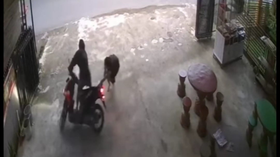 Dramatis, Gadis Berdaster di Lubuklinggau Gagalkan Aksi Pencurian Sepeda Motor