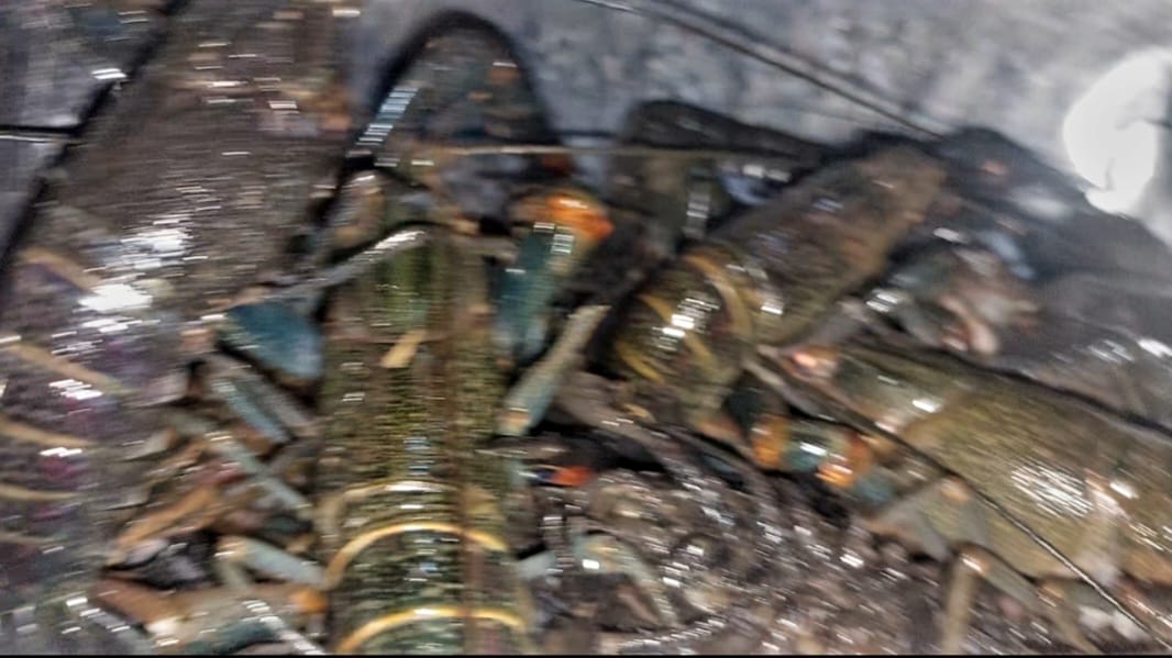 Apa Manfaat Mengkonsumsi Lobster, Mudah Didapat di Musi Rawas, Simak Ulasan Berikut Ini 