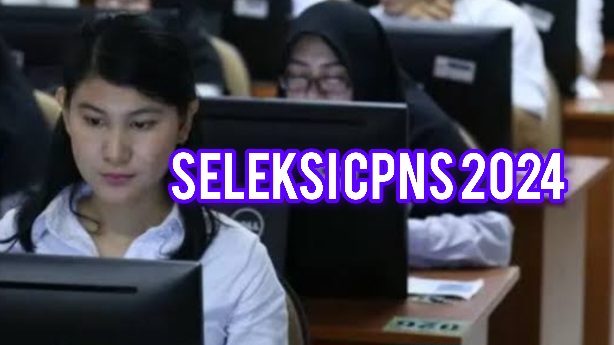 Update CPNS 2024, Daftar Kementerian dan Pemda Sepi Peminat, Kesempatan Besar, Ada BNN