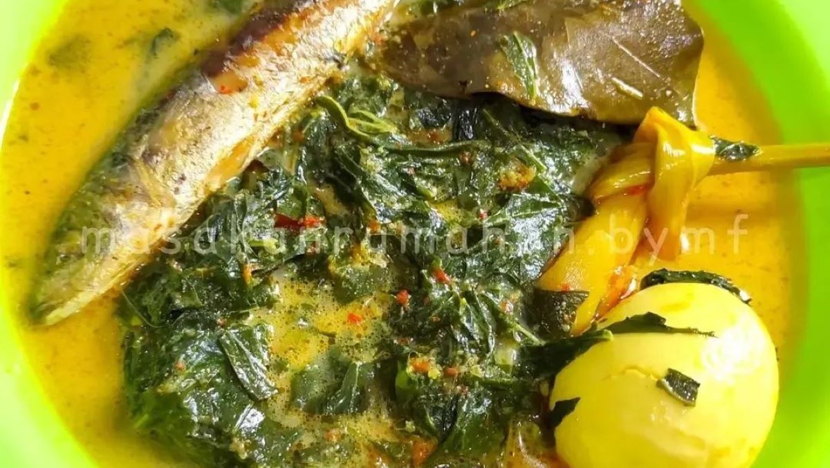 Resep Daun Singkong Kuah Santan, Rasanya Nikmat, Menggugah Selera, Begini Cara Buatnya