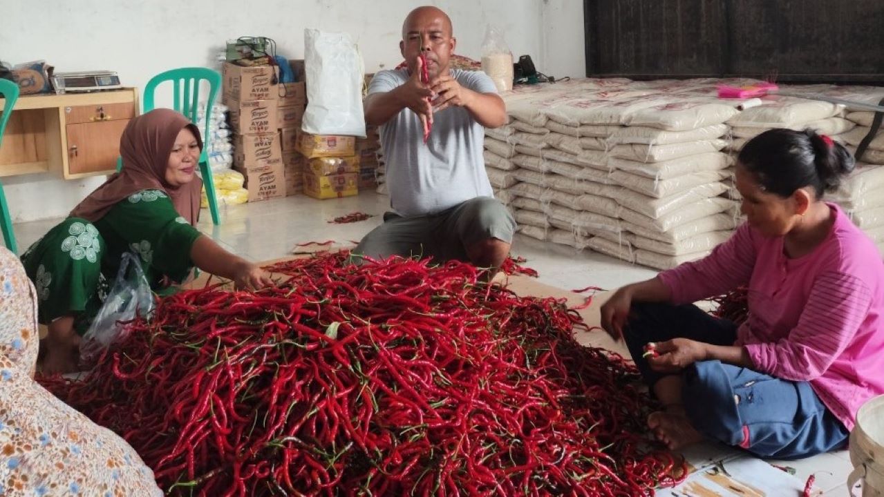 Perkuat Ketahanan Pangan dan Gizi Nasional, BRI Salurkan Pembiayaan Kepada Koperasi Penyuplai Bahan Pangan MBG