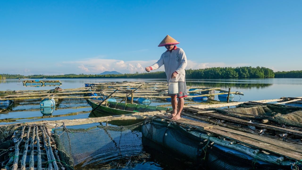 Dorong Sektor Produksi Bergeliat, BRI Salurkan KUR Rp69,8 triliun ke 8,3 Juta Debitur UMKM