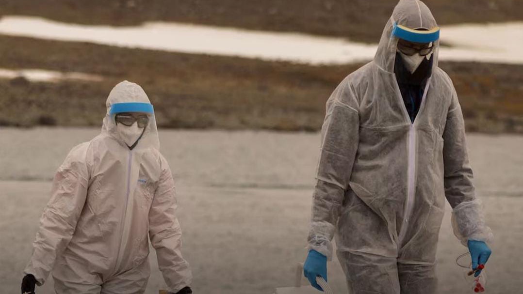 Waspada! Para Ahli Peringatkan Risiko Wabah Flu Burung Akan 100 Kali Lebih Buruk dari Pandemi Covid