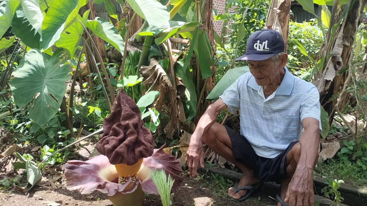 Warga Tugumulyo Mura Cium Bau Bangkai di Belakang Rumah, Ternyata ini Penyebabnya