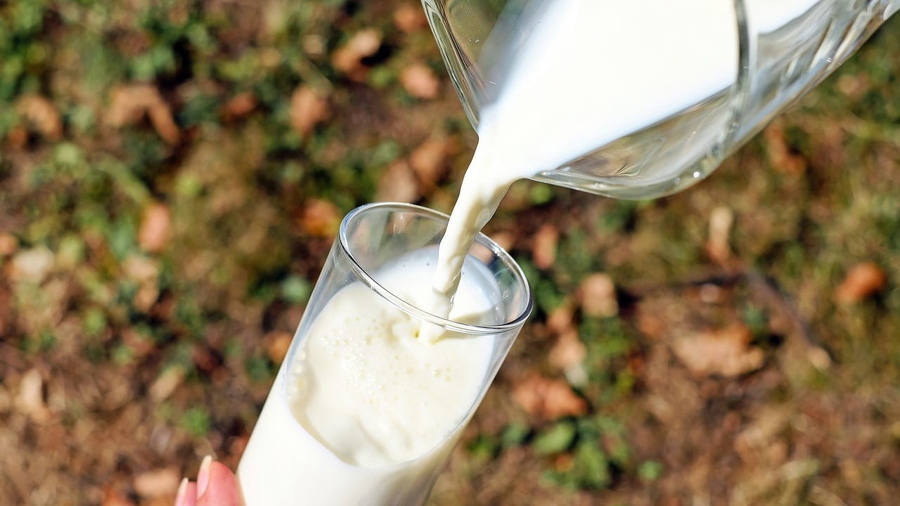 Bulan Ramadan Cari Produk Susu yang Diskon, Yuk Disimak Ada Promo THR Alfamart, Berikut Daftarnya