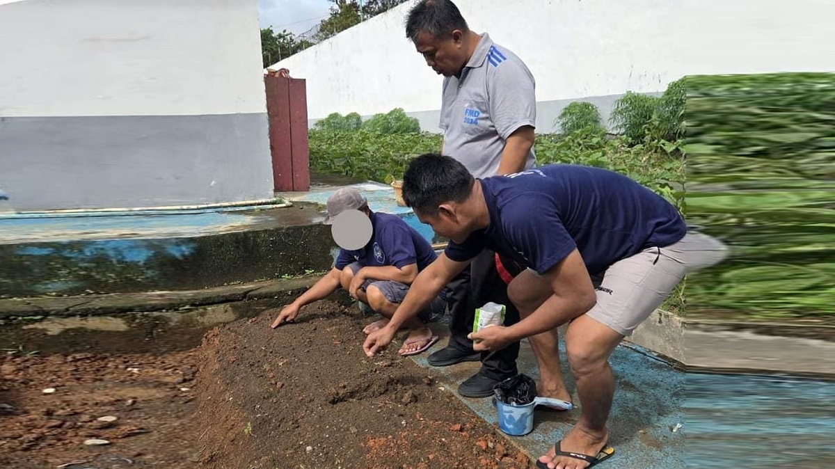 Hijaukan Lahan Pembinaan, Lapas Narkotika Muara Beliti Tanam Bibit Jagung