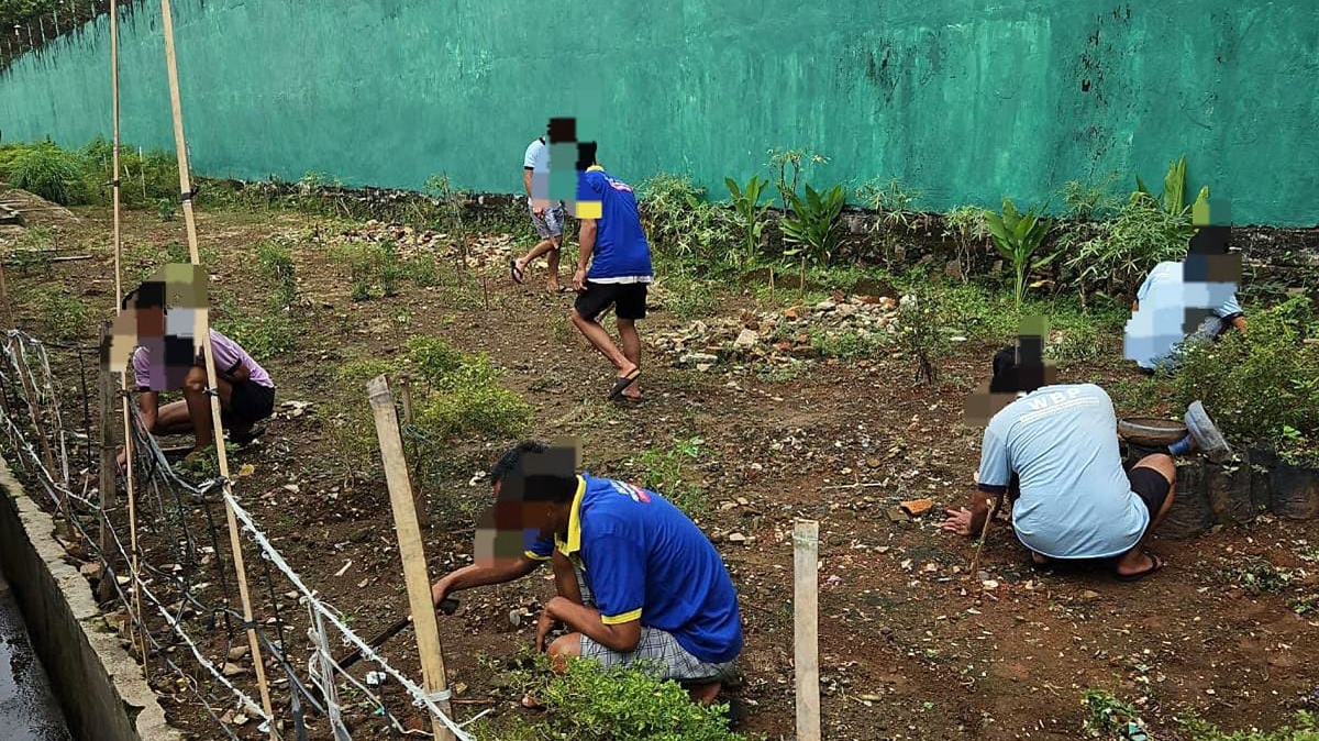 Dukung Program Ketahanan Pangan, Lapas Narkotika Muara Beliti Manfaatkan Brandgang Jadi Kebun Sayur