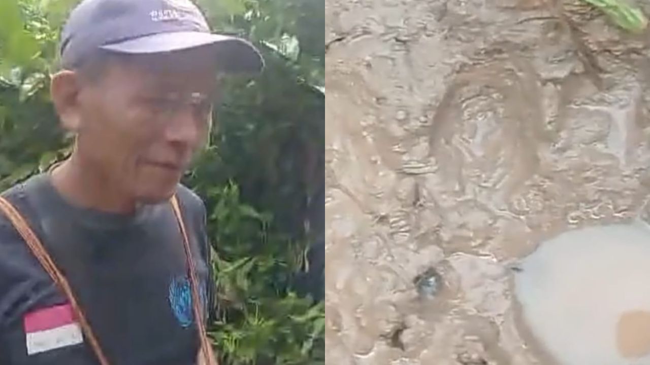 Warga Musi Rawas Temukan Jejak Diduga Harimau di Jalan ke Kebun, ini Kata TNKS